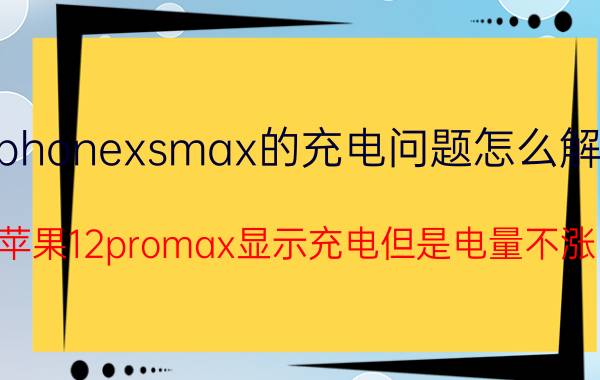 iphonexsmax的充电问题怎么解决 苹果12promax显示充电但是电量不涨？